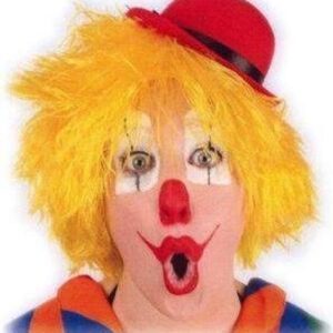 Clownspruik geel