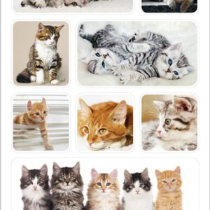 Decor stickers Kittens