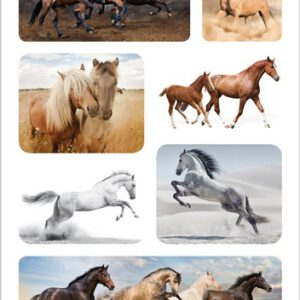 Decor stickers Paarden