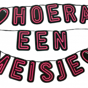 Neon letterslinger Hoera een Meisje