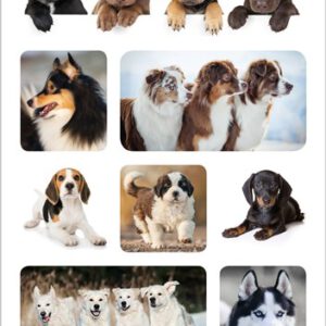 Stickers Honden